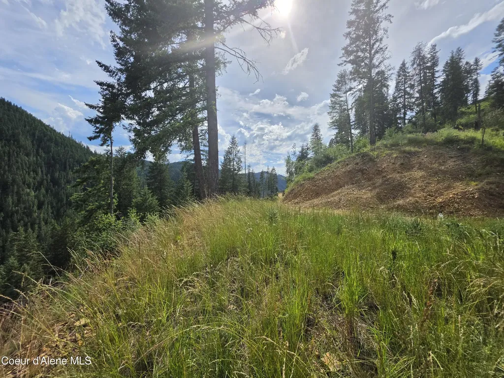 480 Dunn Peak Road Avery ID 83802