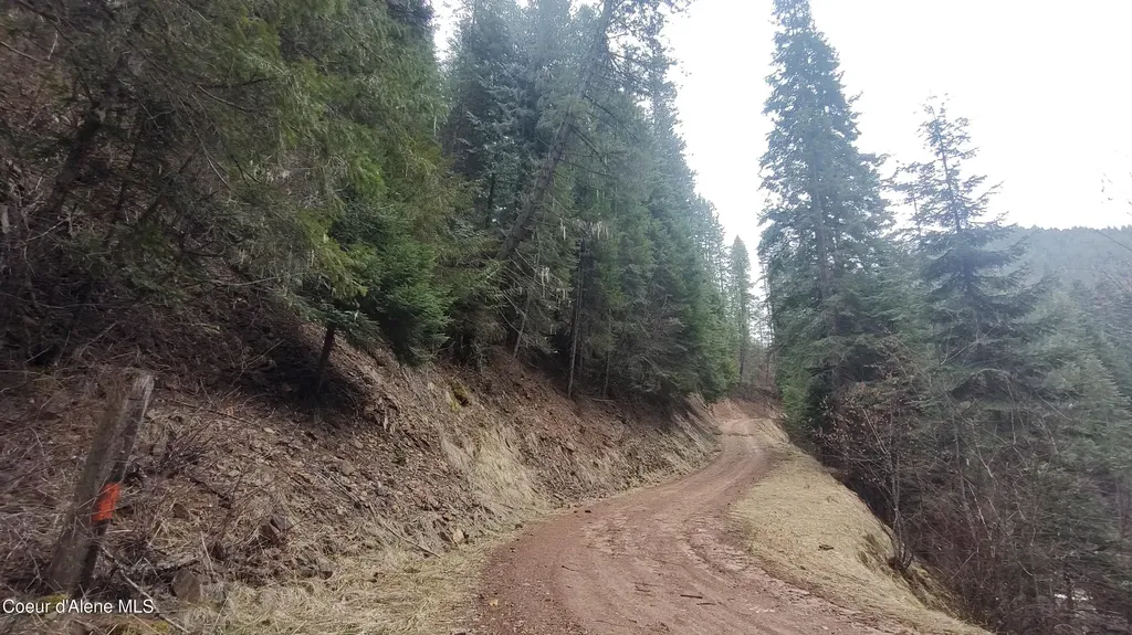 480 Dunn Peak Road Avery ID 83802