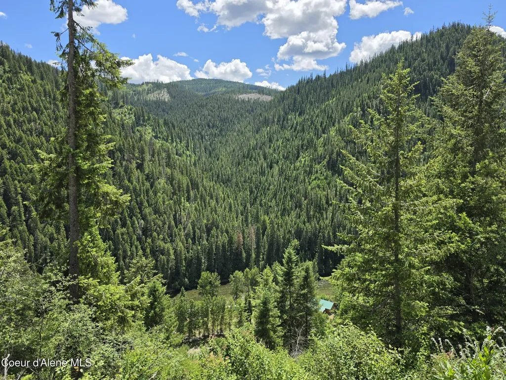 480 Dunn Peak Road Avery ID 83802