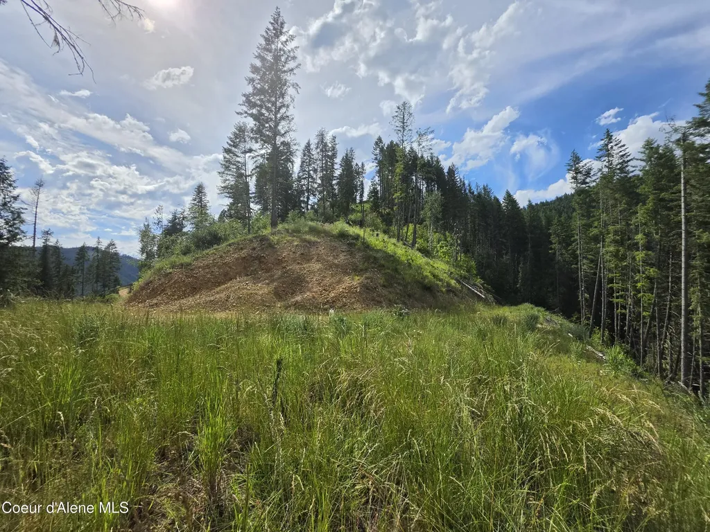 480 Dunn Peak Road Avery ID 83802