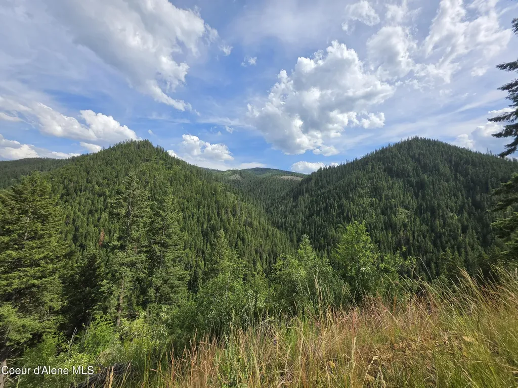 480 Dunn Peak Road Avery ID 83802