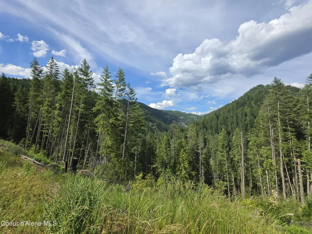 480 Dunn Peak Road Avery ID 83802