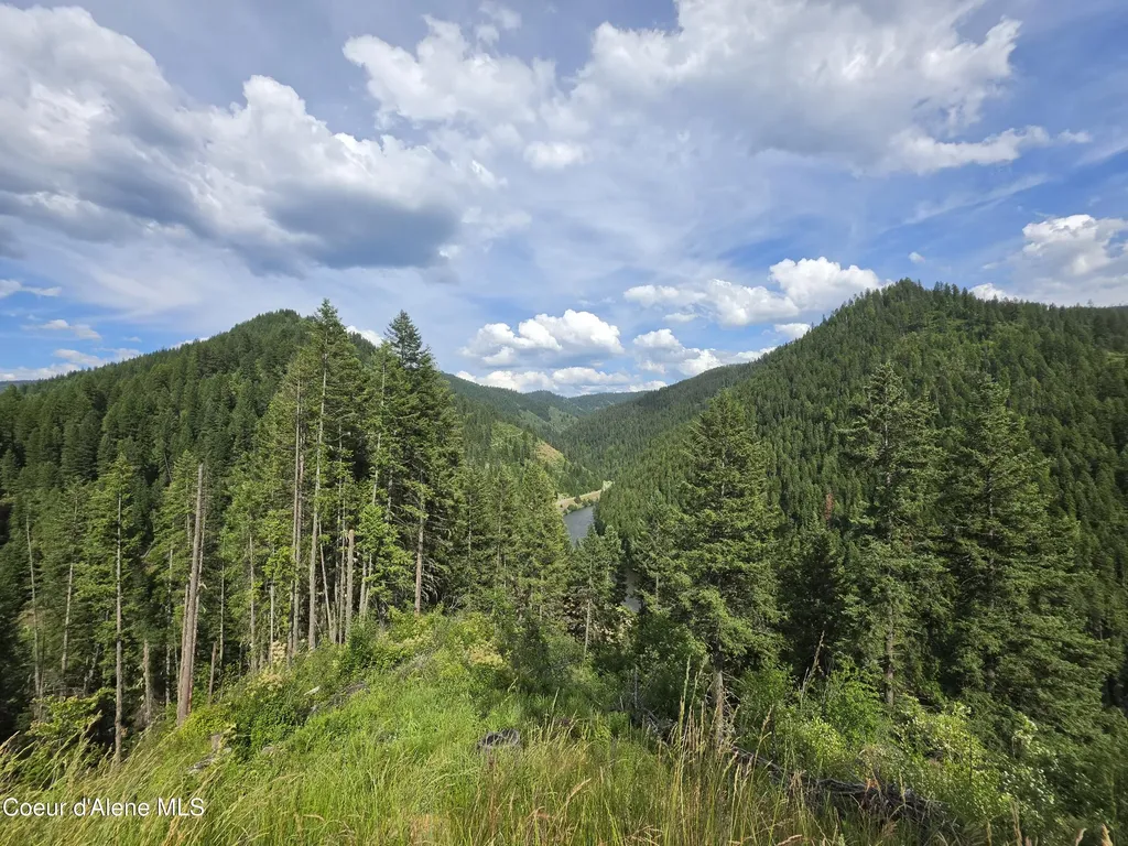 480 Dunn Peak Road Avery ID 83802