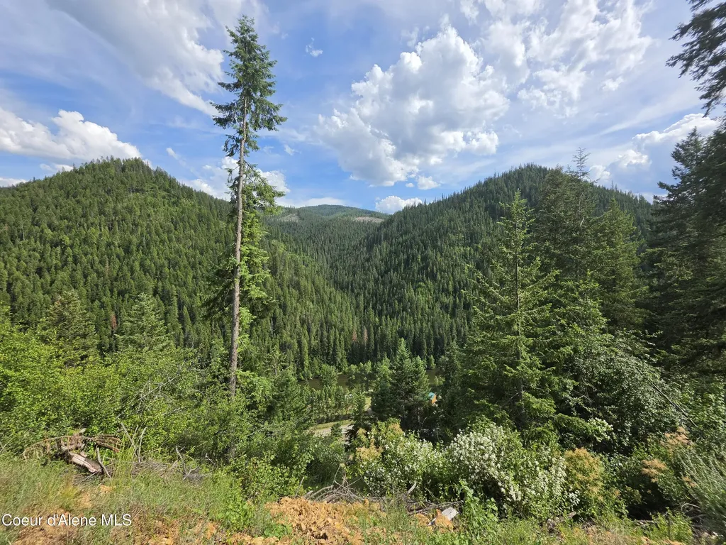 480 Dunn Peak Road Avery ID 83802