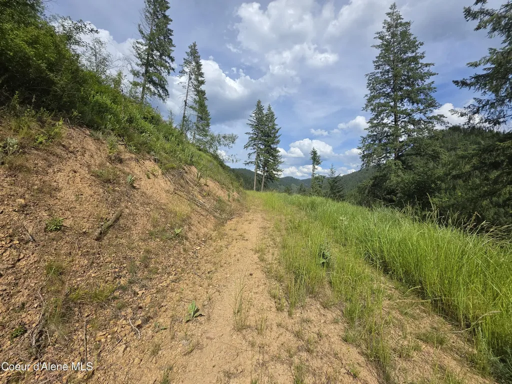 480 Dunn Peak Road Avery ID 83802