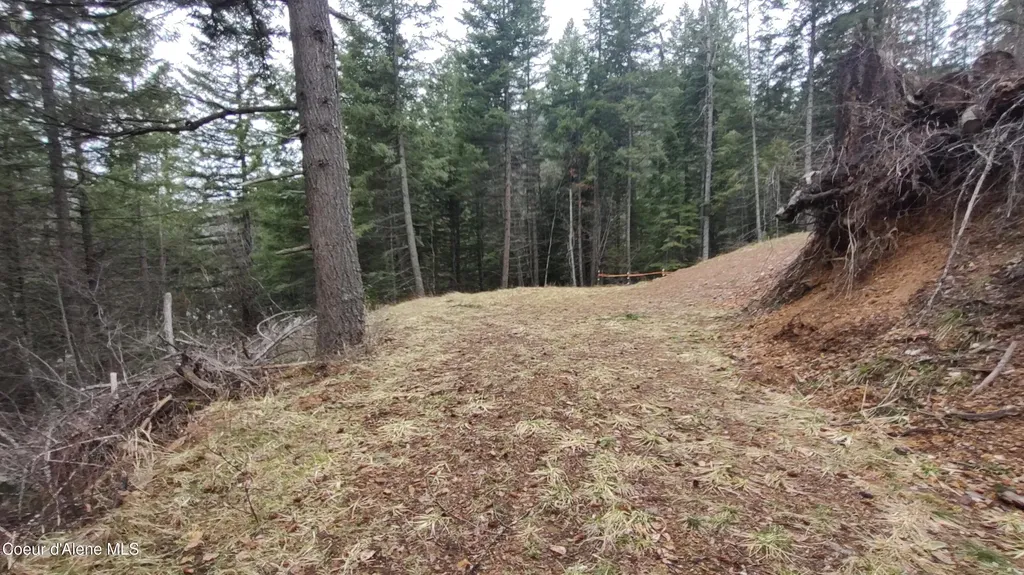 480 Dunn Peak Road Avery ID 83802