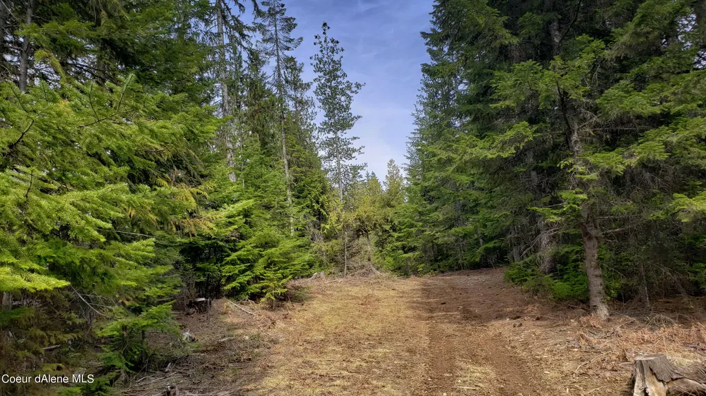 855 Meadowood Road Sandpoint ID 83864