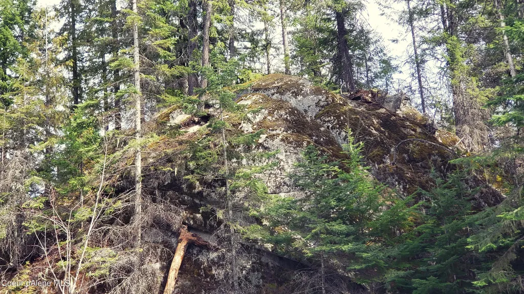 855 Meadowood Road Sandpoint ID 83864