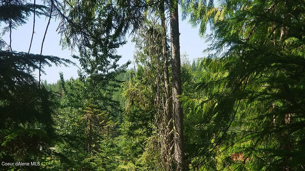 855 Meadowood Road Sandpoint ID 83864