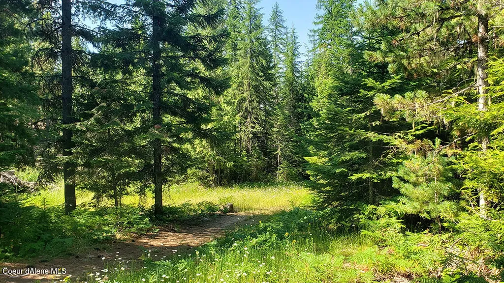 855 Meadowood Road Sandpoint ID 83864