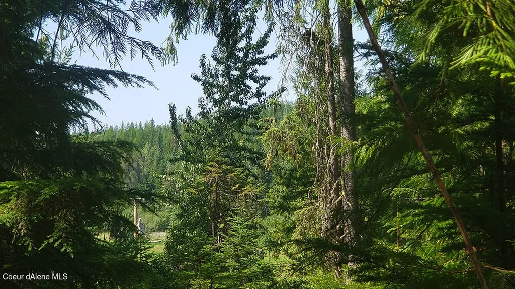 855 Meadowood Road Sandpoint ID 83864