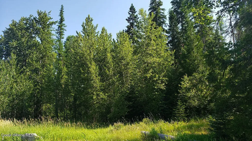 855 Meadowood Road Sandpoint ID 83864