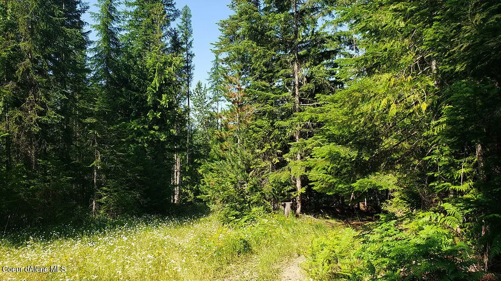 855 Meadowood Road Sandpoint ID 83864