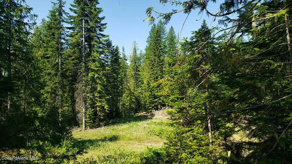 855 Meadowood Road Sandpoint ID 83864