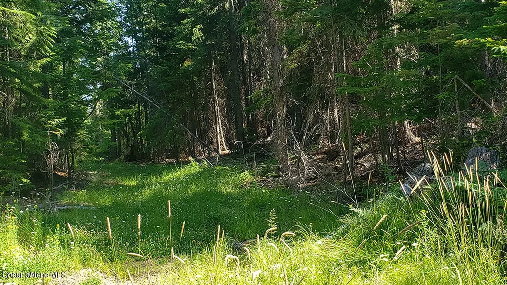 855 Meadowood Road Sandpoint ID 83864