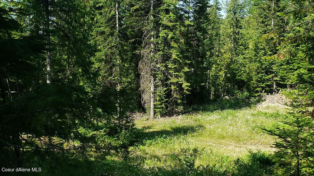 855 Meadowood Road Sandpoint ID 83864