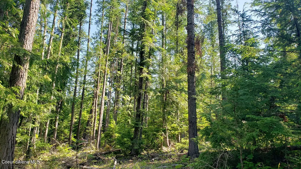 855 Meadowood Road Sandpoint ID 83864