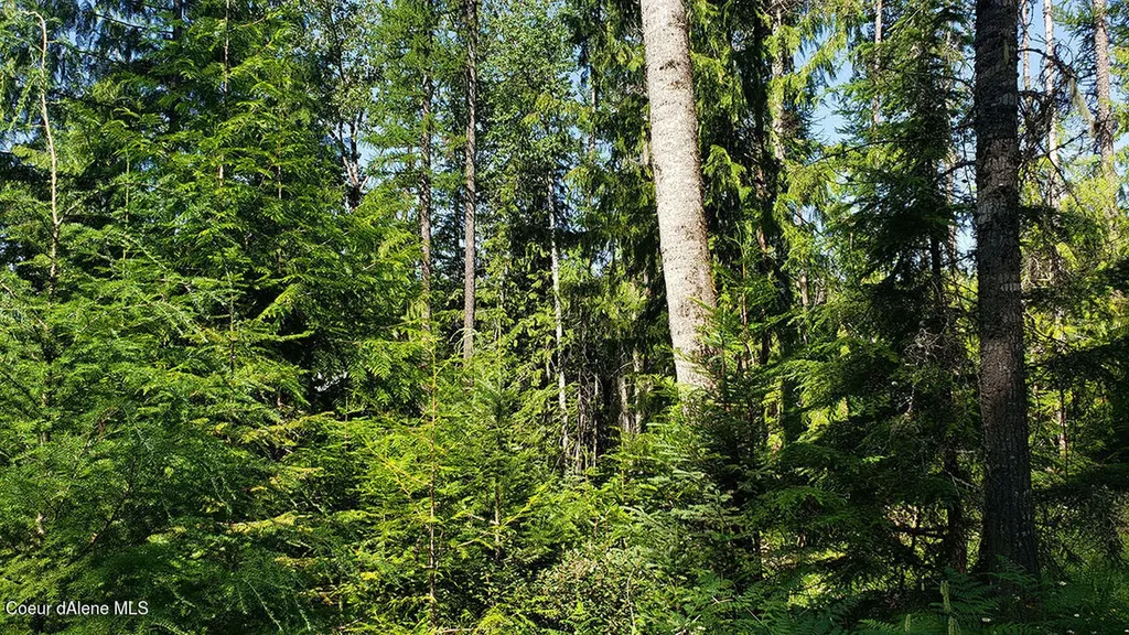 855 Meadowood Road Sandpoint ID 83864
