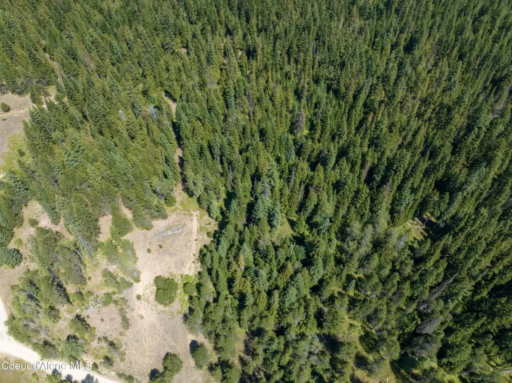 30 Acres Lamb Creek Road Priest River ID 83856