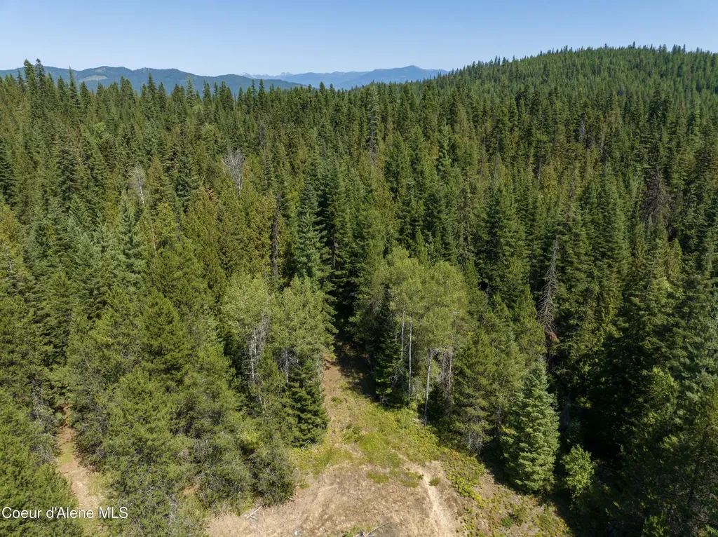 30 Acres Lamb Creek Road Priest River ID 83856