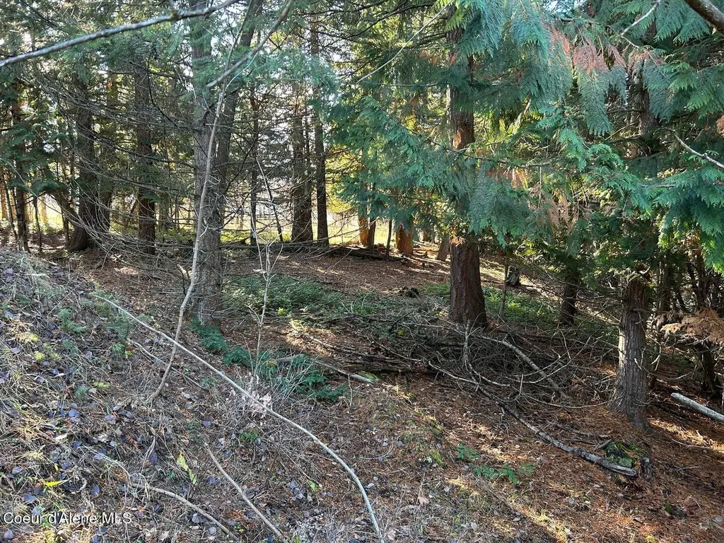Nna Kokanee Road Bonners Ferry ID 83805