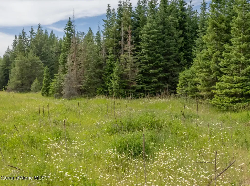 Nna Kokanee Road Bonners Ferry ID 83805