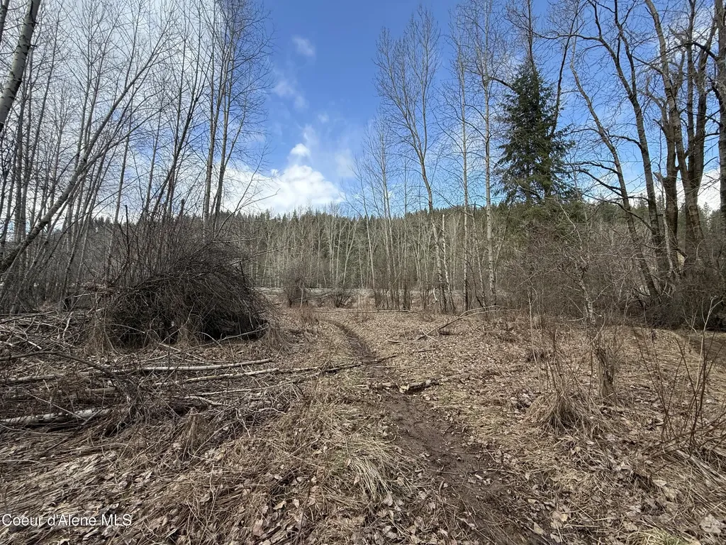 4.88 Acres Wallace Avenue Pinehurst ID 83850