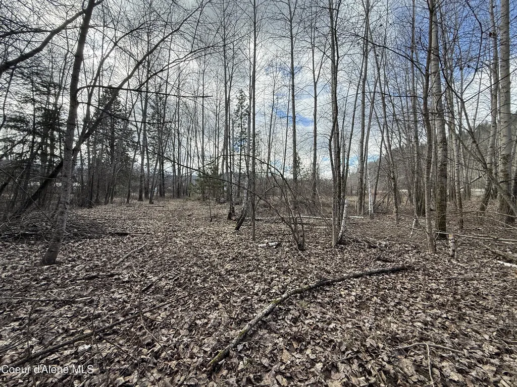 4.88 Acres Wallace Avenue Pinehurst ID 83850