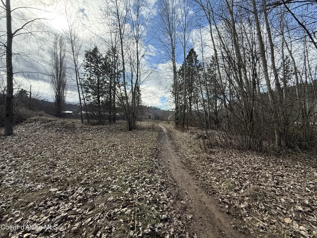 4.88 Acres Wallace Avenue Pinehurst ID 83850