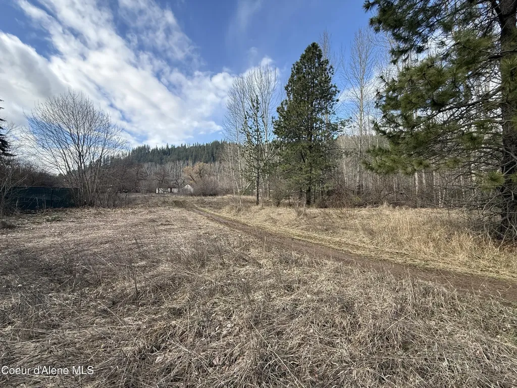 4.88 Acres Wallace Avenue Pinehurst ID 83850