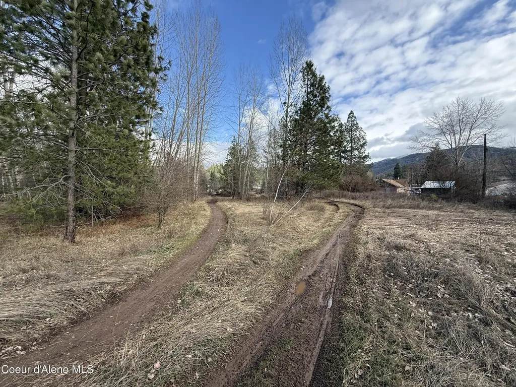 4.88 Acres Wallace Avenue Pinehurst ID 83850