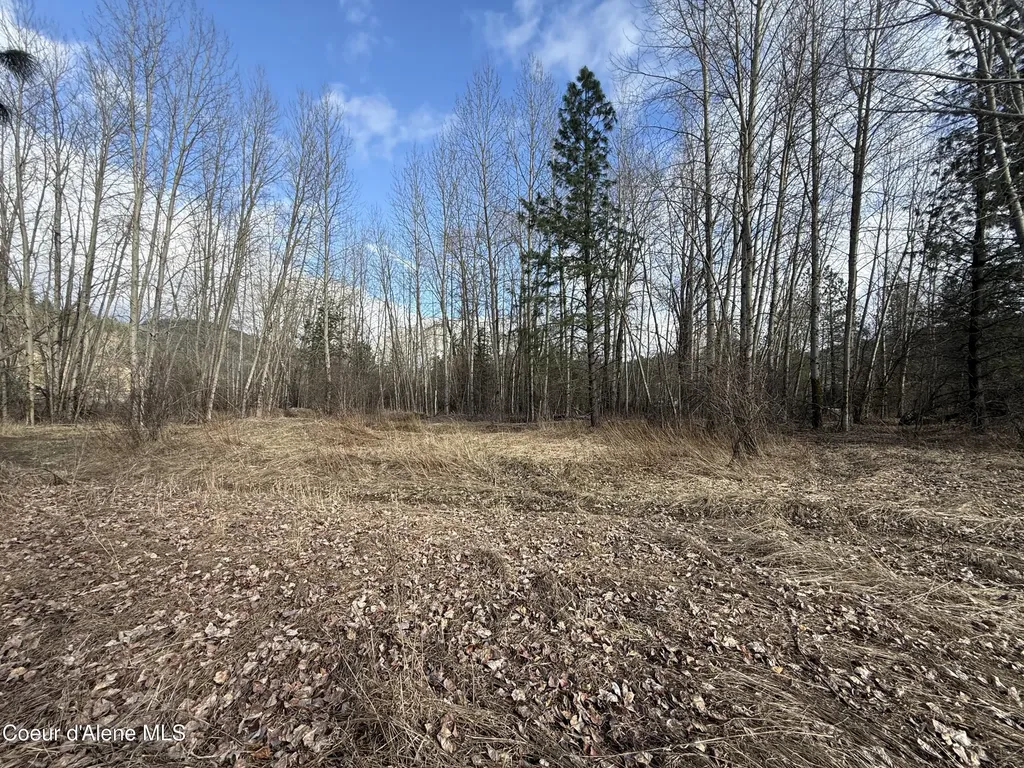 4.88 Acres Wallace Avenue Pinehurst ID 83850