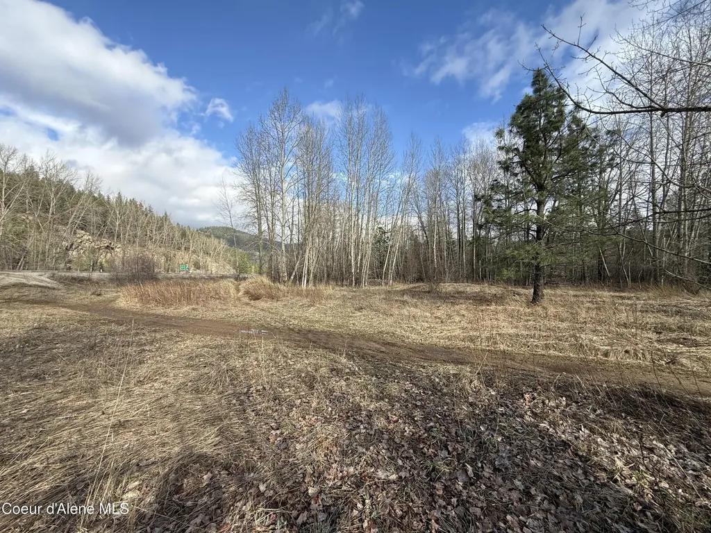 4.88 Acres Wallace Avenue Pinehurst ID 83850