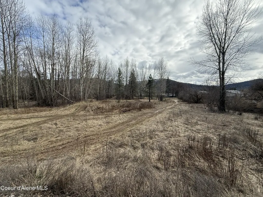 4.88 Acres Wallace Avenue Pinehurst ID 83850