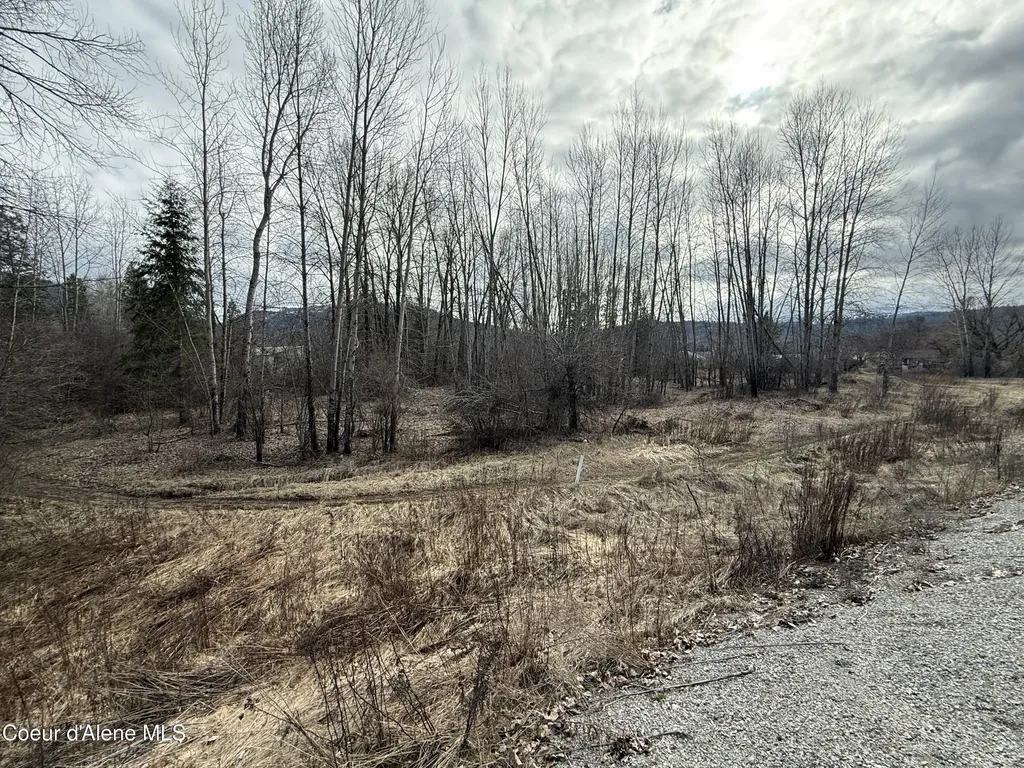 4.88 Acres Wallace Avenue Pinehurst ID 83850