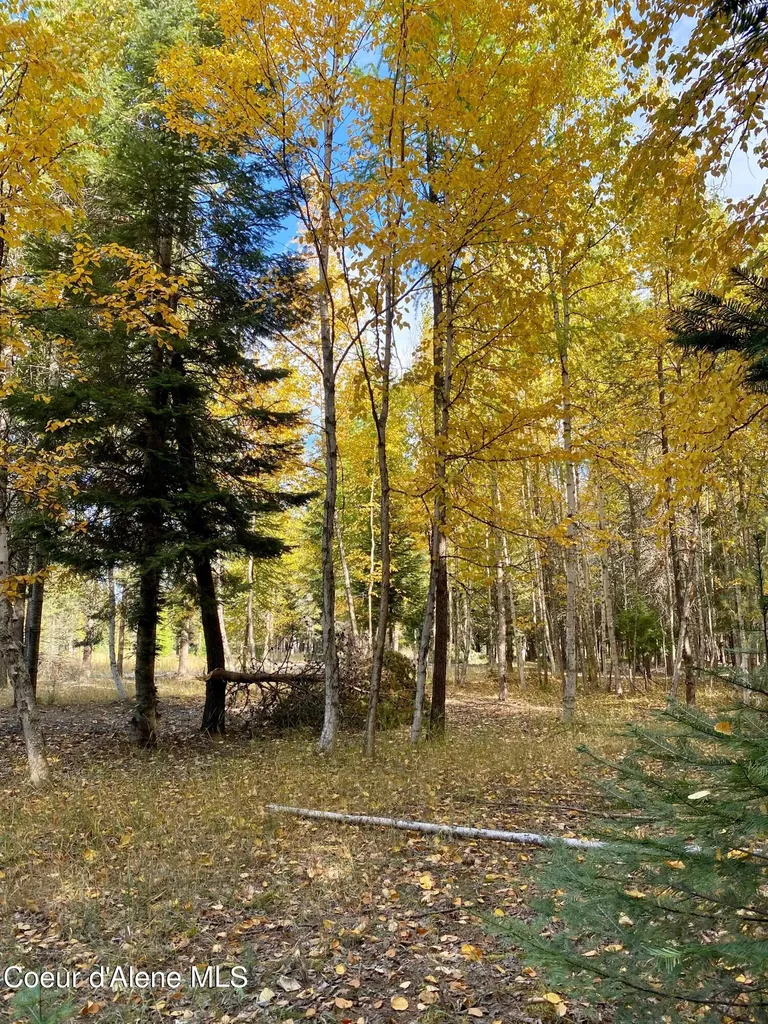 Nna Cougar Road Lot 1a Naples ID 83847