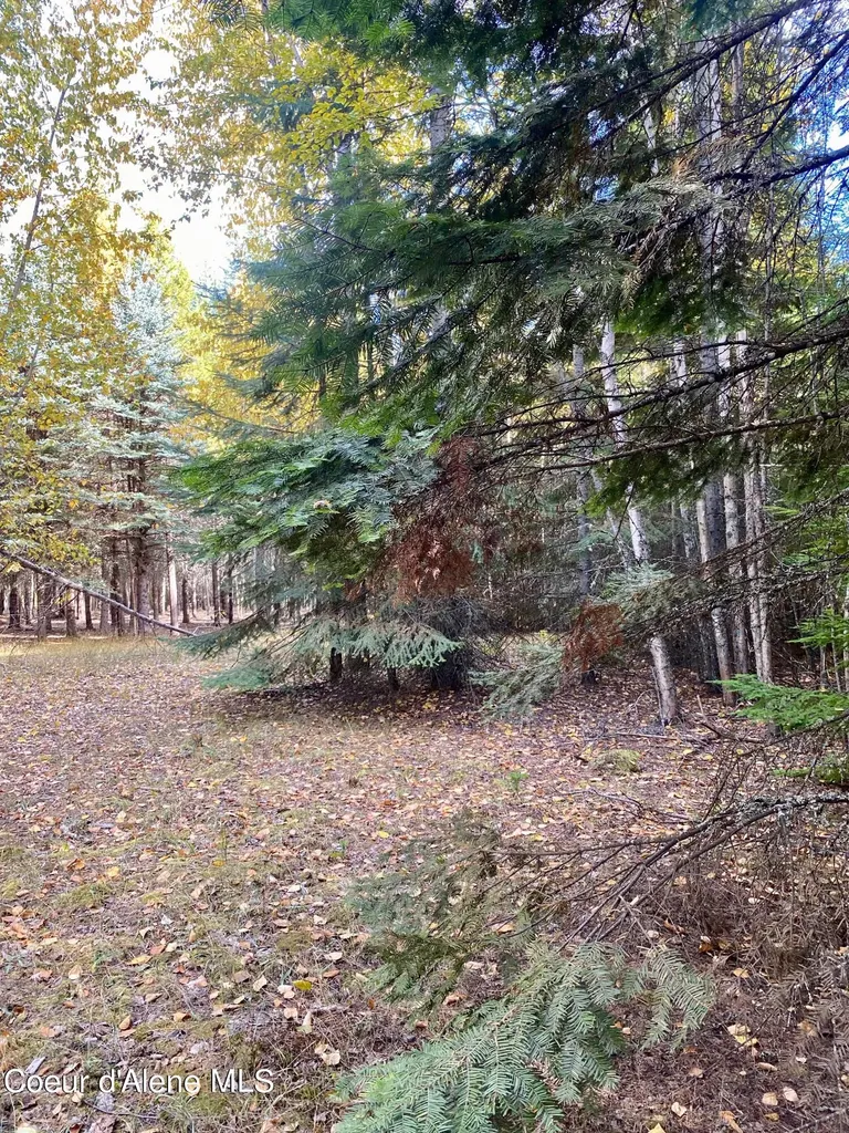 Nna Cougar Road Lot 1a Naples ID 83847