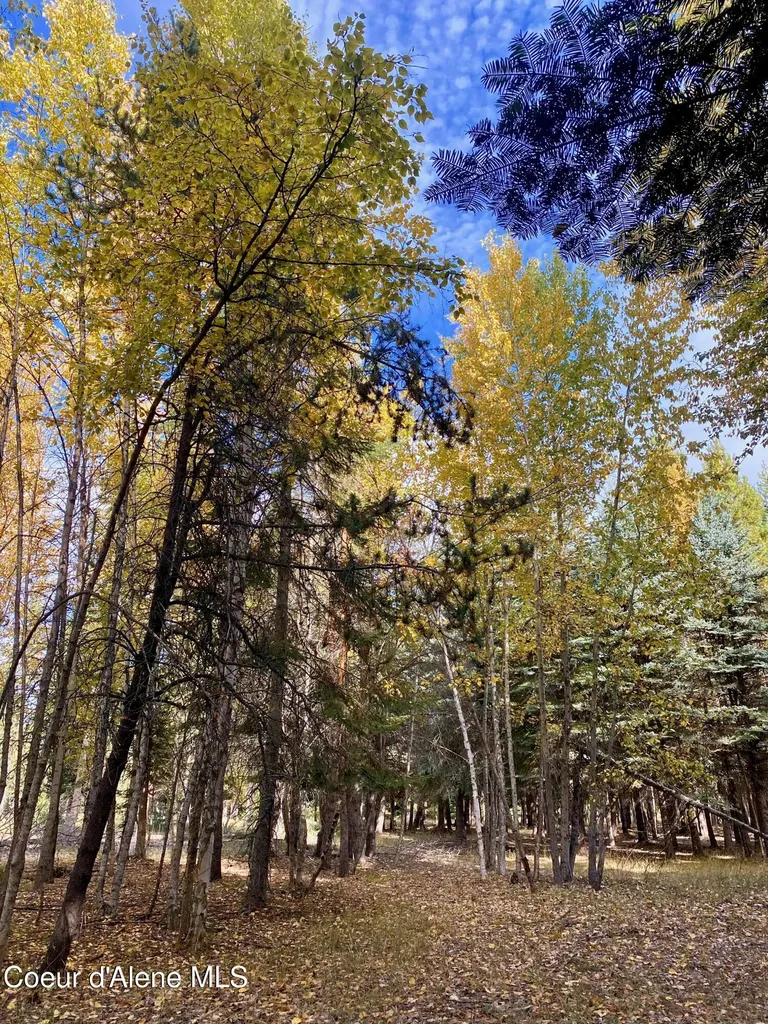 Nna Cougar Road Lot 1a Naples ID 83847