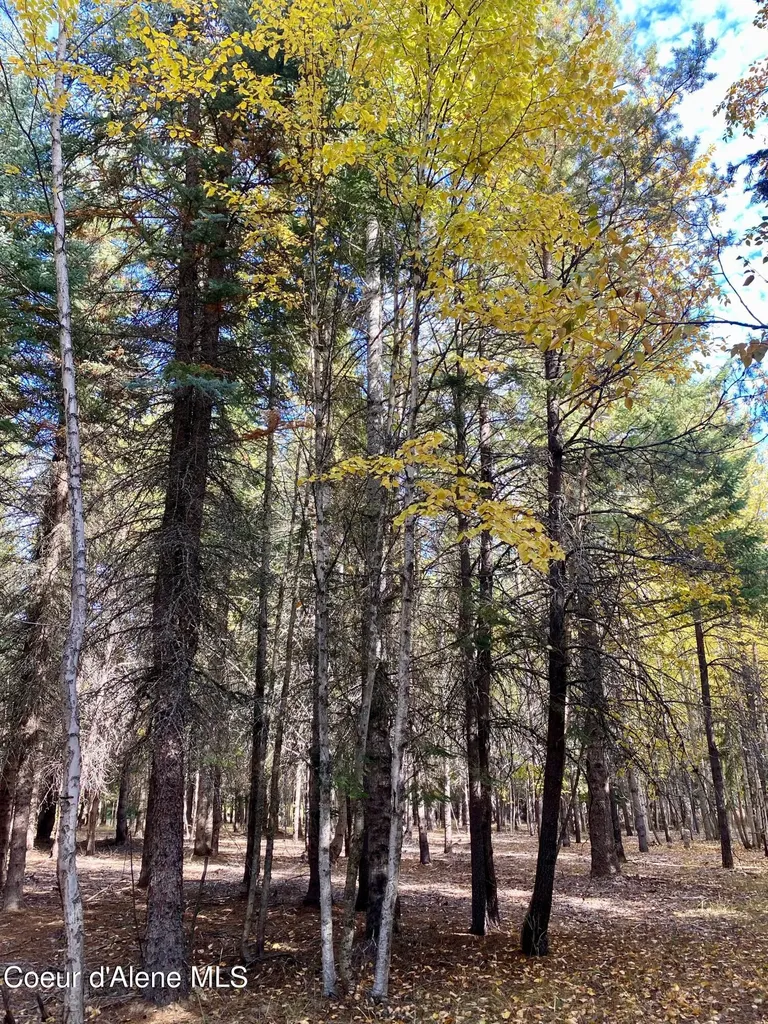 Nna Cougar Road Lot 1a Naples ID 83847