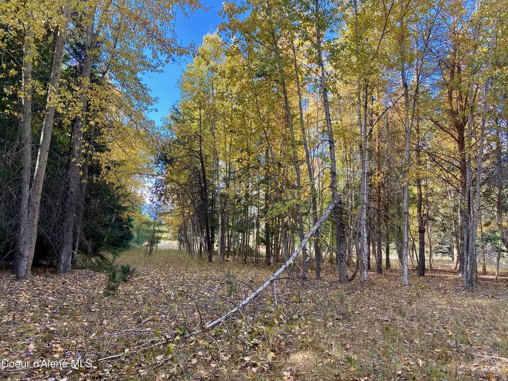 Nna Cougar Road Lot 1a Naples ID 83847