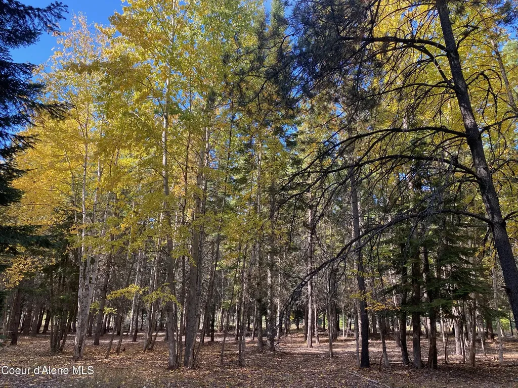 Nna Cougar Road Lot 1a Naples ID 83847