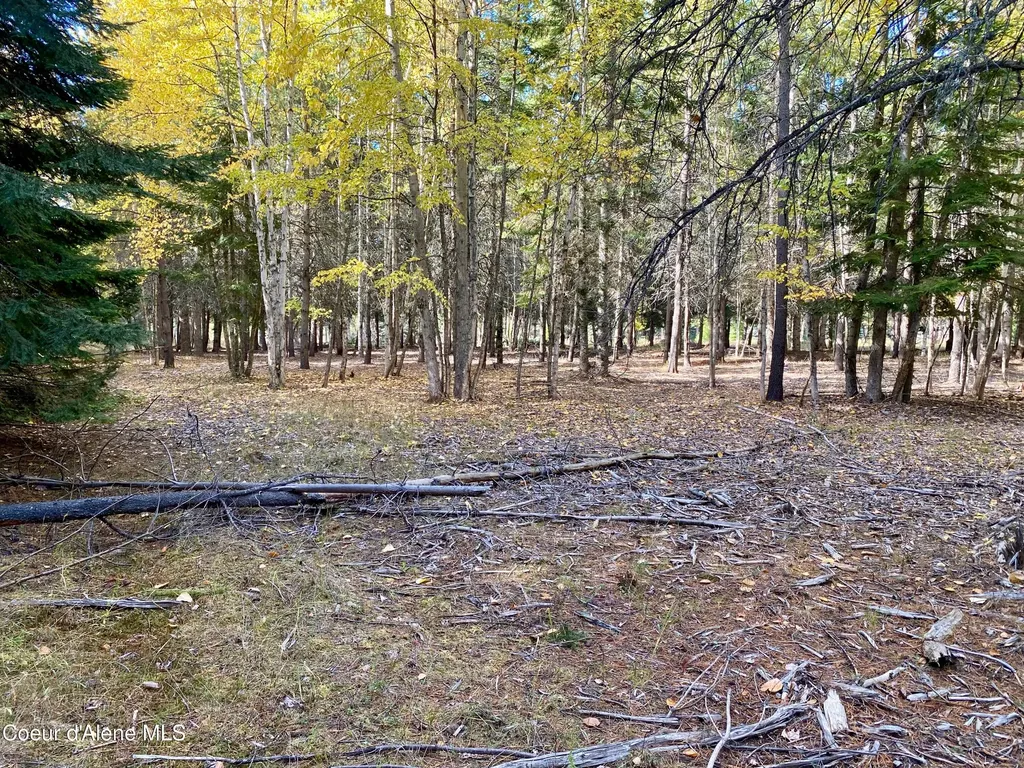 Nna Cougar Road Lot 1a Naples ID 83847