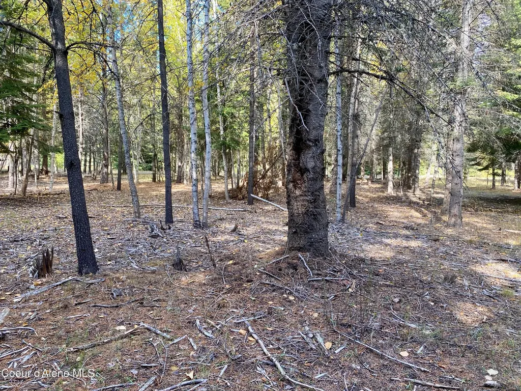 Nna Cougar Road Lot 1a Naples ID 83847