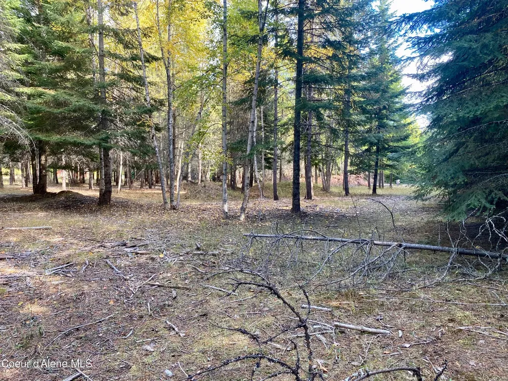 Nna Cougar Road Lot 1a Naples ID 83847