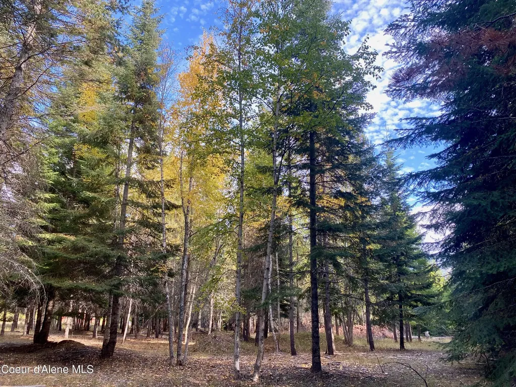 Nna Cougar Road Lot 1a Naples ID 83847