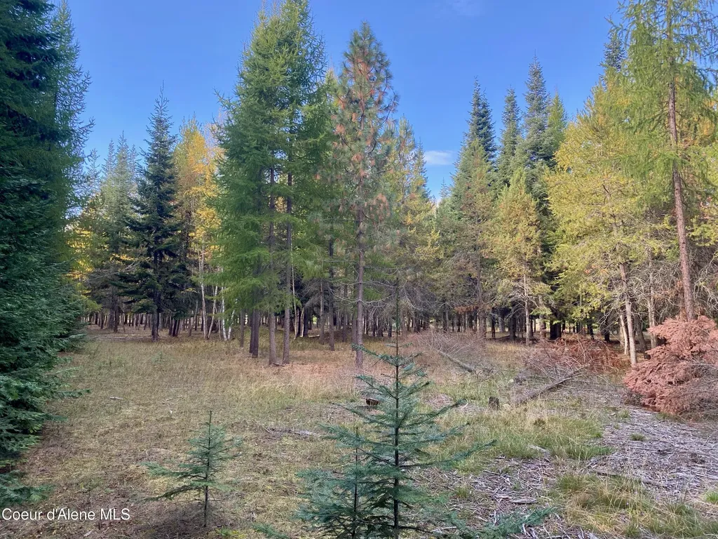 Nna Cougar Road Lot 1a Naples ID 83847