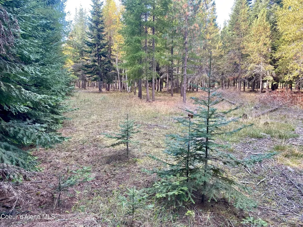Nna Cougar Road Lot 1a Naples ID 83847