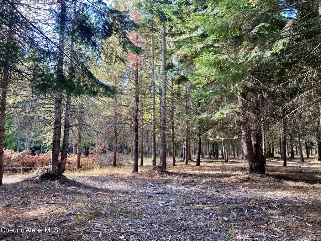 Nna Cougar Road Lot 1a Naples ID 83847