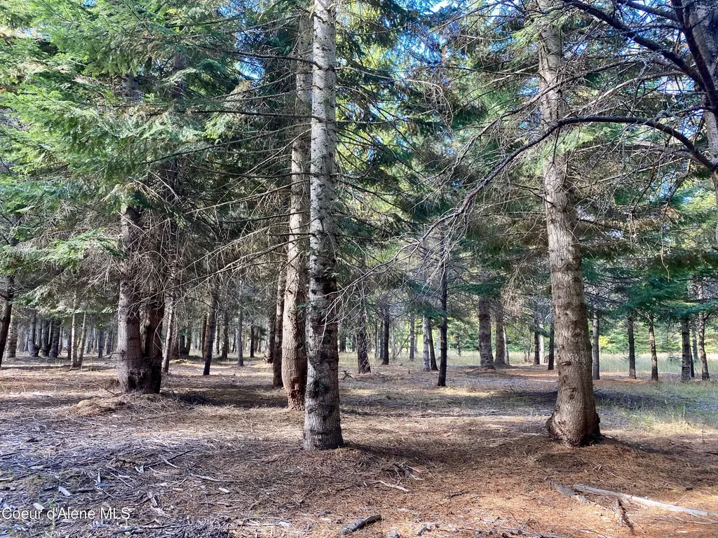 Nna Cougar Road Lot 1a Naples ID 83847