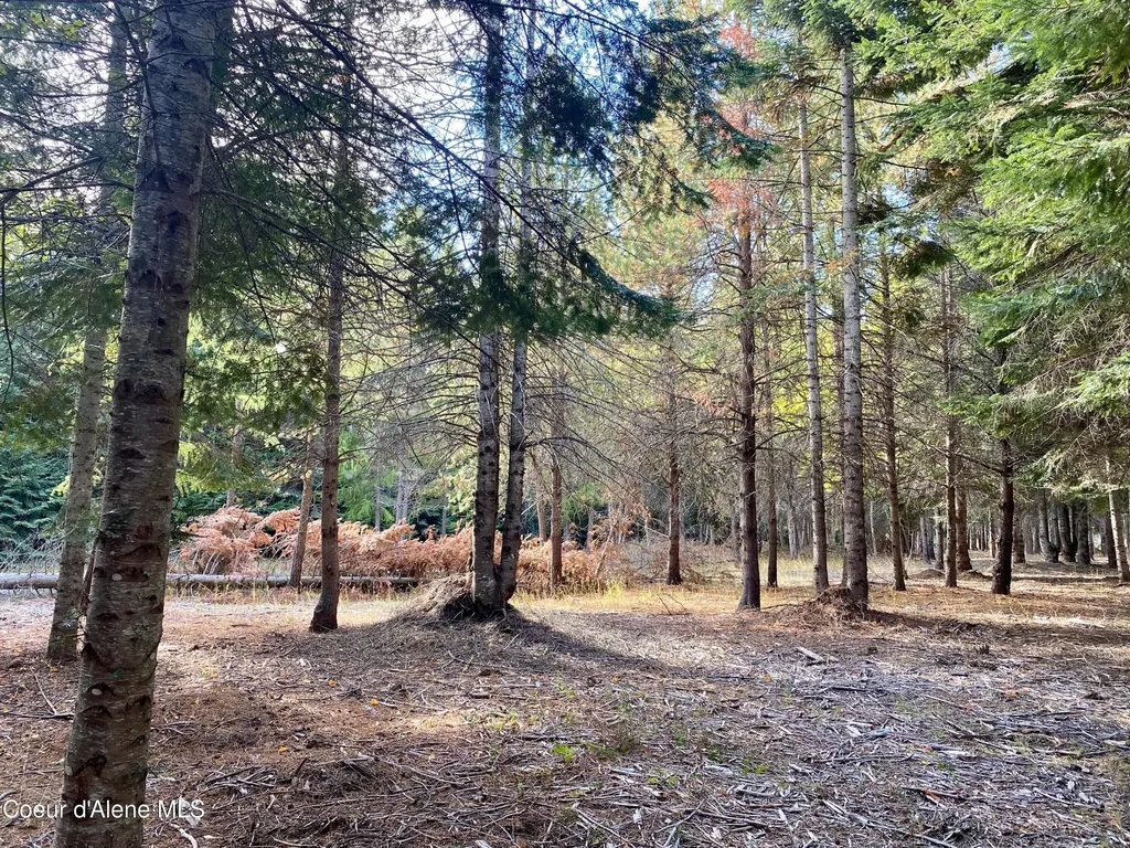 Nna Cougar Road Lot 1a Naples ID 83847